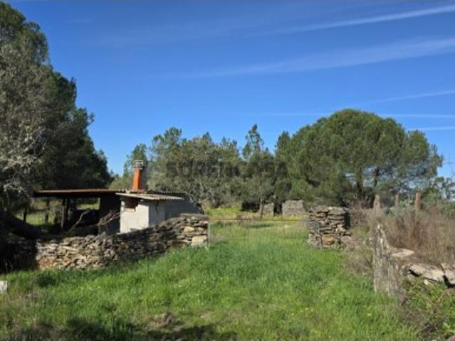 Terreno venda em Castelo Branco