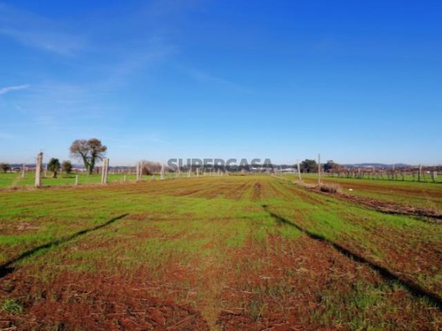 Terreno venda em Bougado (São Martinho e Santiago), Trofa