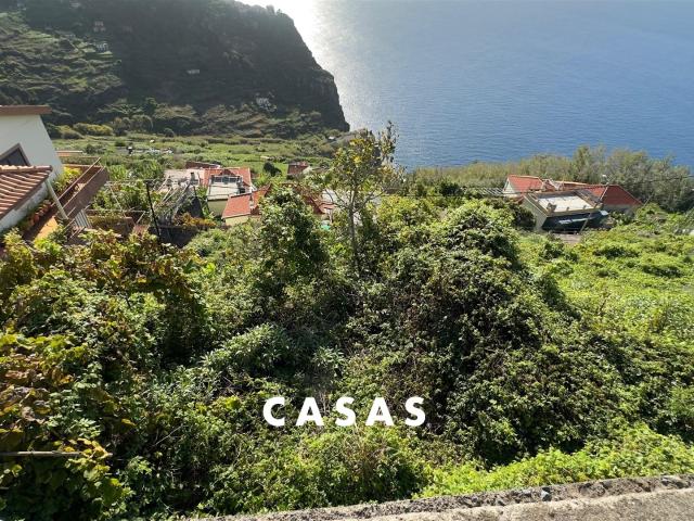 Loja venda em Calhau da Lapa, Ribeira Brava