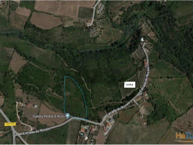 Terreno venda em Arruda Dos Vinhos