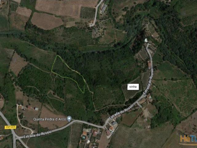 Terreno venda em Arruda Dos Vinhos