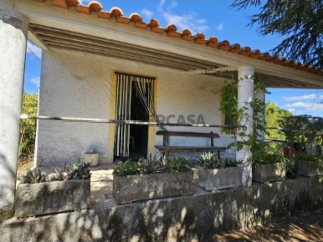 Terreno venda em Castelo Branco