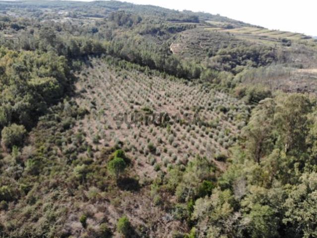 Terreno venda em Ínsua, Penalva do Castelo