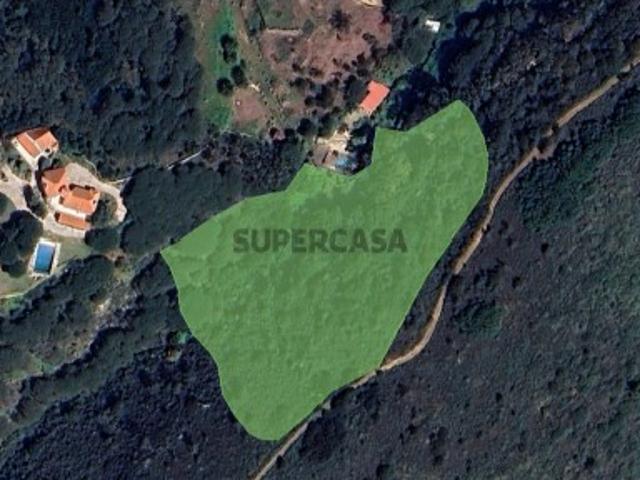 Terreno venda em Casal de Santo André, Sintra
