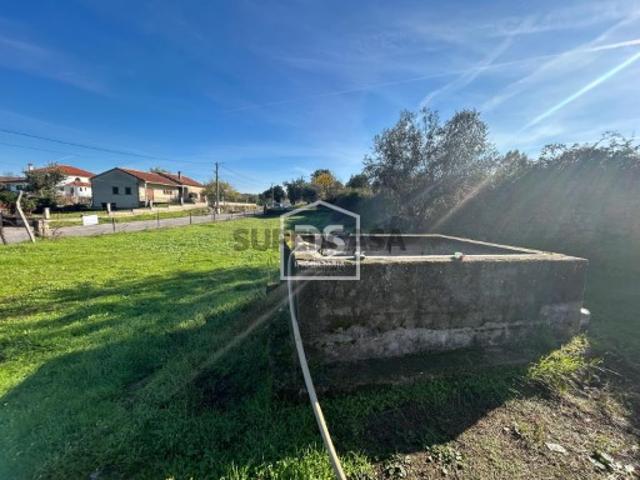 Terreno venda em Castelo Branco