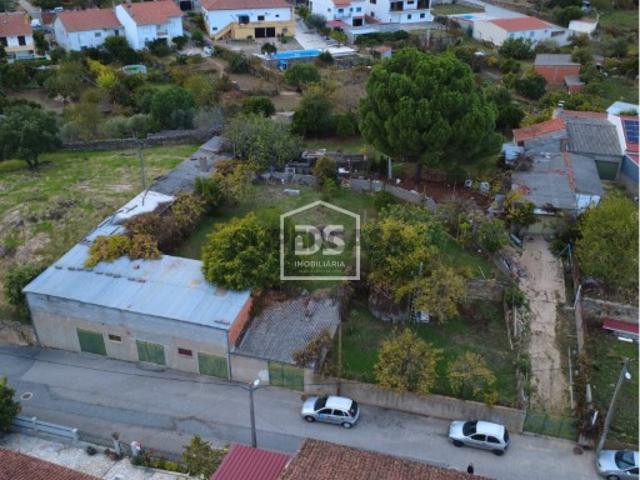 Terreno venda em Castelo Branco