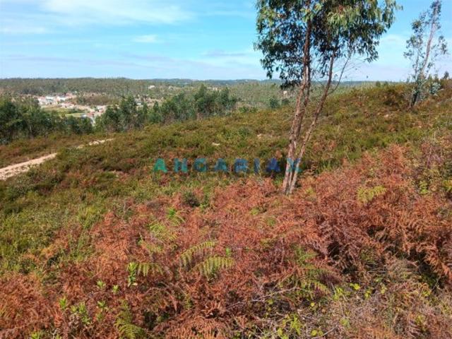 Terreno venda em Ourém, Santarém
