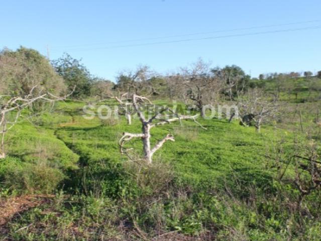 Terreno venda em Estômbar, Faro
