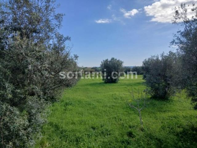 Terreno venda em Albufeira, Faro