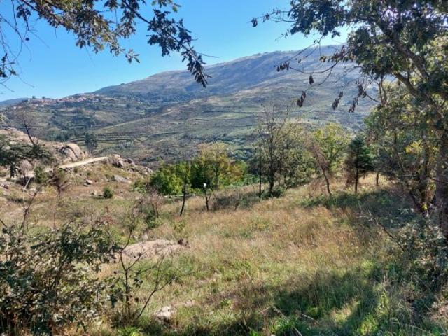 Terreno venda em Guarda, São Julião