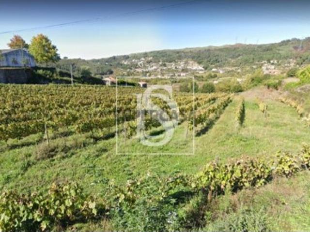 Terreno venda em Baião, Porto