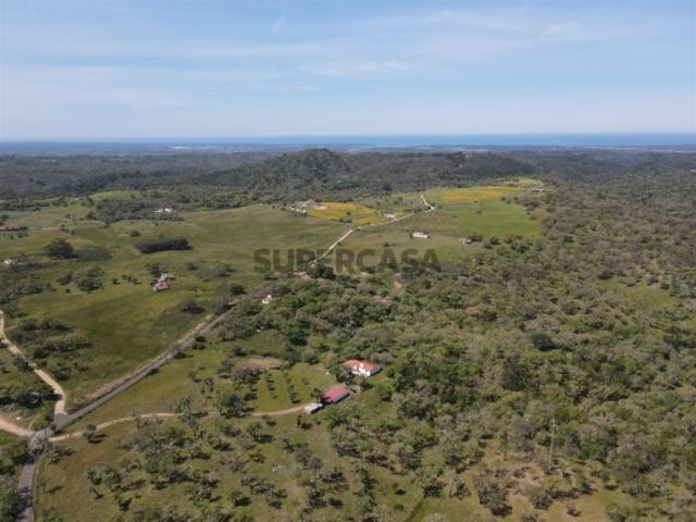 Terreno venda em Santiago Do Cacém, Setúbal