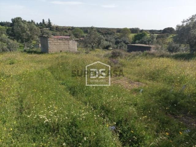 Terreno venda em Castelo Branco, Idanha-a-nova