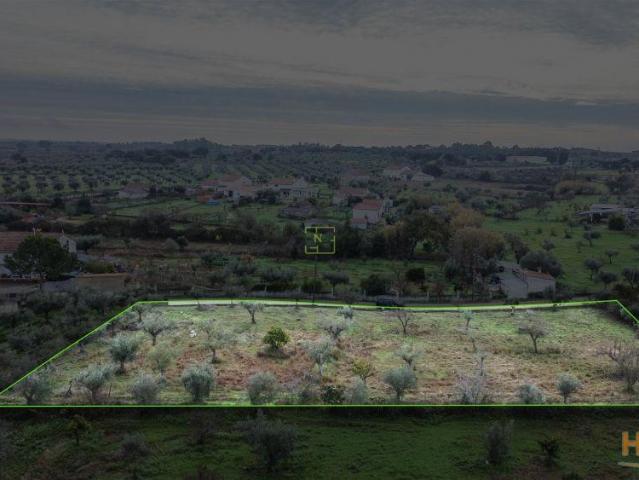 Terreno venda em Castelo Branco, Idanha-a-nova
