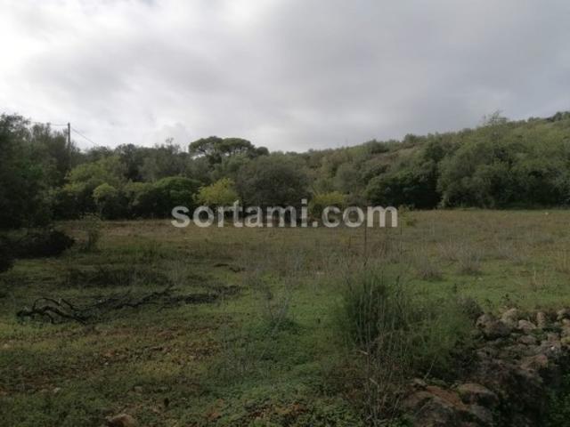 Terreno venda em Loulé, Faro