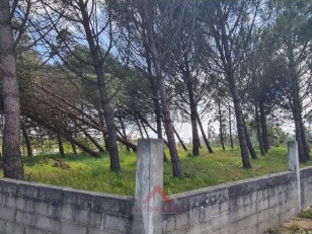 Terreno venda em Leiria