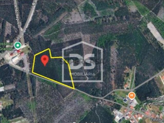 Terreno venda em Marinha Grande, Leiria