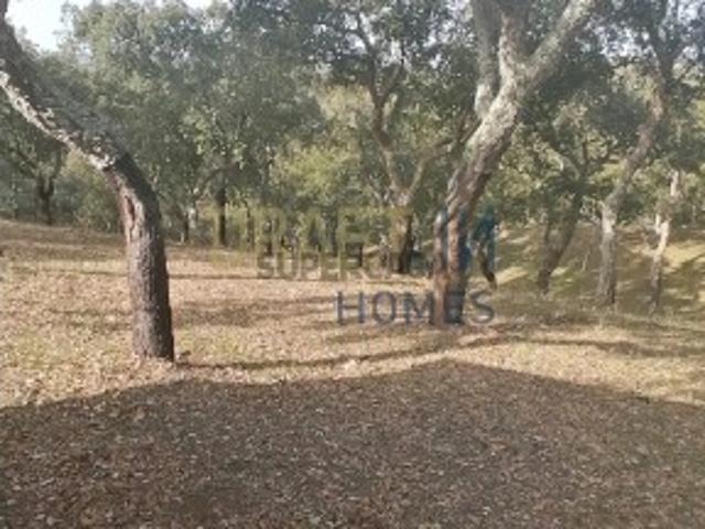Terreno venda em Grândola, Setúbal