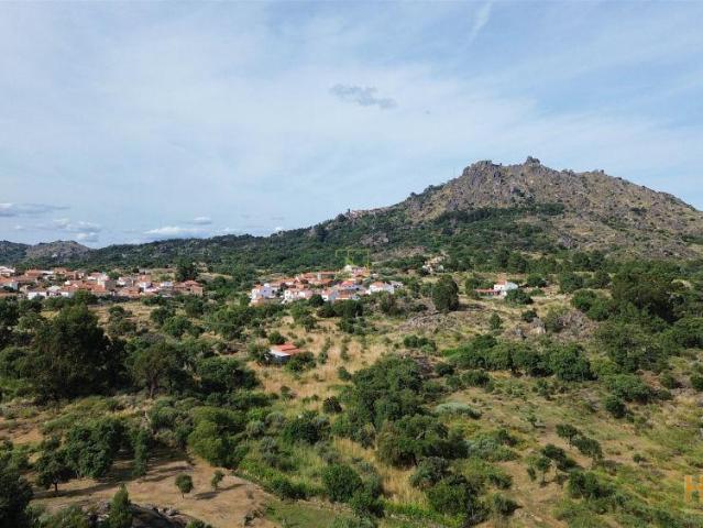 Terreno venda em Castelo Branco, Idanha-a-nova