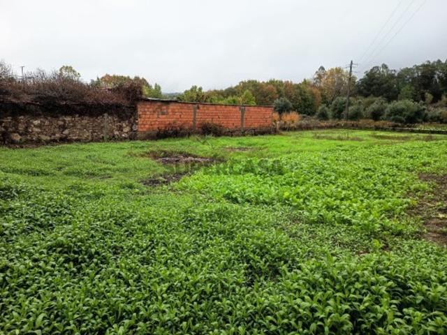 Terreno venda em Mortágua, Viseu
