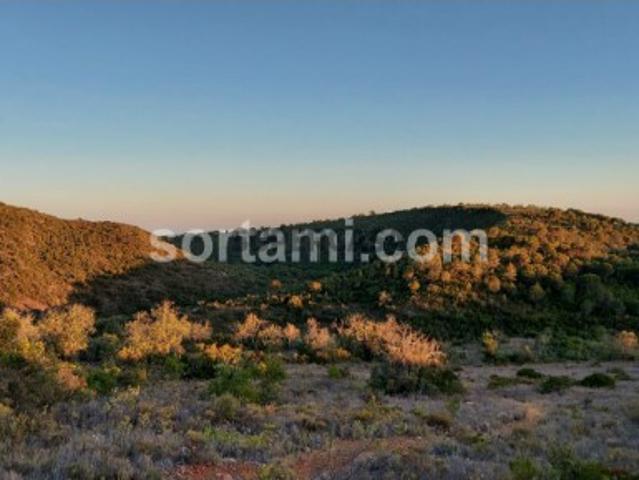 Terreno venda em Albufeira, Faro