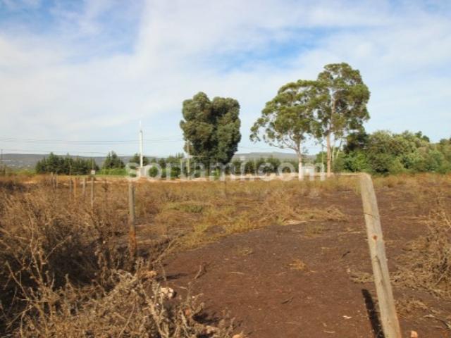 Terreno venda em Albufeira, Faro