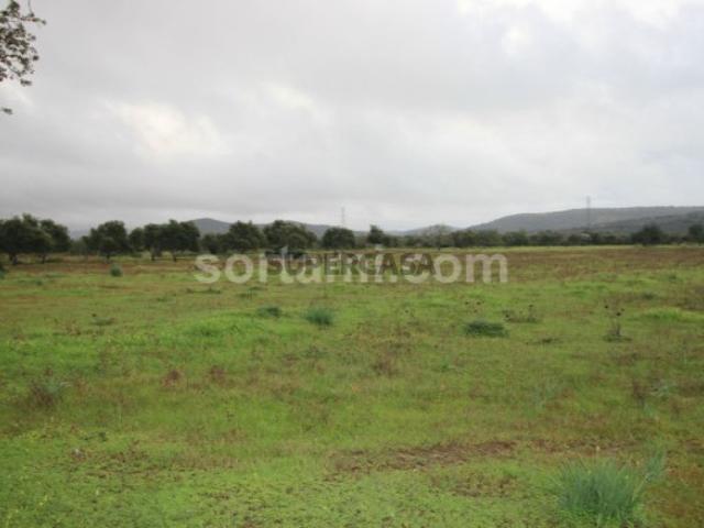 Terreno venda em Albufeira, Faro