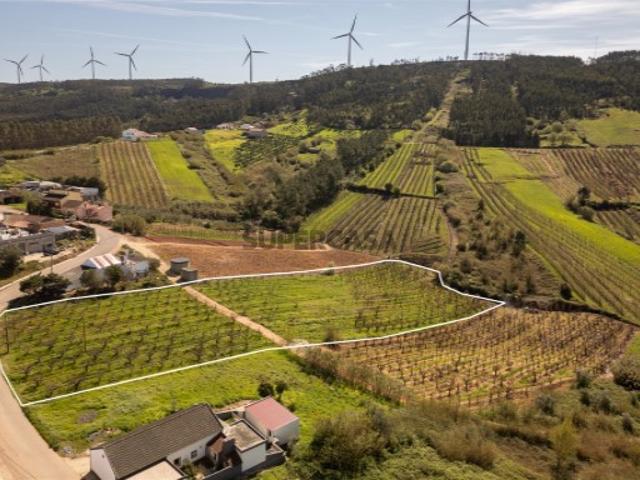 Terreno venda em Cadaval, Painho