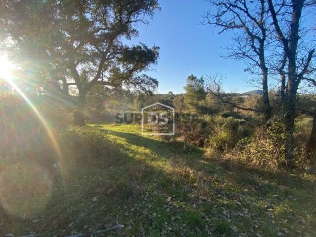 Terreno venda em Castelo Branco, Penamacor