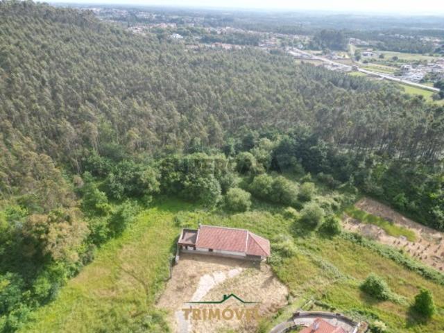 Terreno venda em Bolfeta, Oliveira De Azeméis