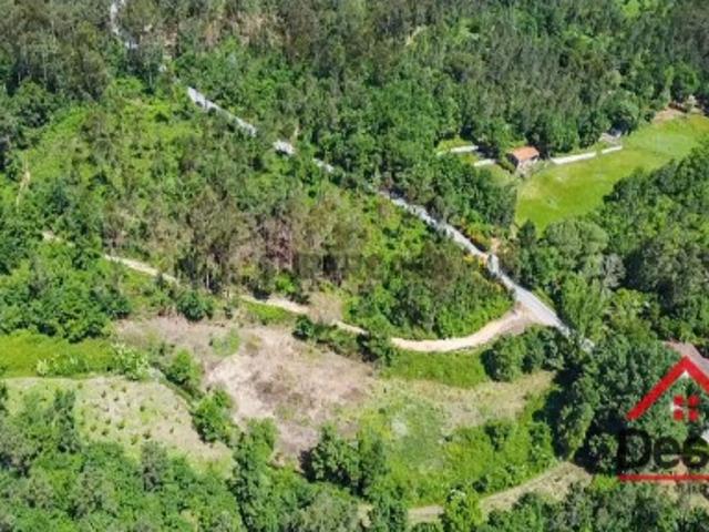 Terreno venda em Pinho, São Pedro Do Sul