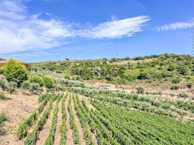 Terreno venda em Peso Da Régua, Vila Real