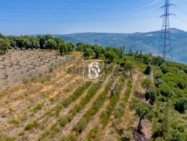 Terreno venda em Vila Seca de Poiares, Peso Da Régua