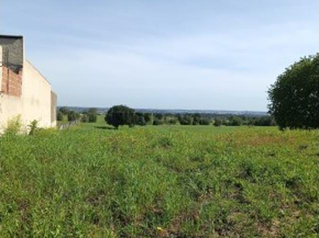 Terreno venda em Cartaxo, Santarém