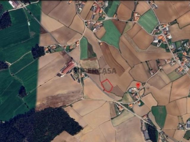 Terreno venda em Nova Sintra, A Ver-o-mar