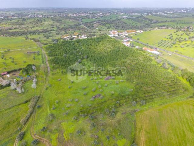 Terreno venda em Santarém