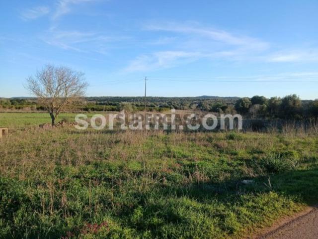 Terreno venda em São Bartolomeu De Messines, Faro