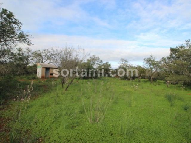 Terreno venda em São Bartolomeu De Messines, Faro