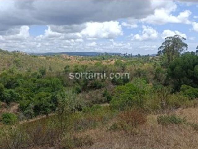 Terreno venda em São Bartolomeu De Messines, Faro
