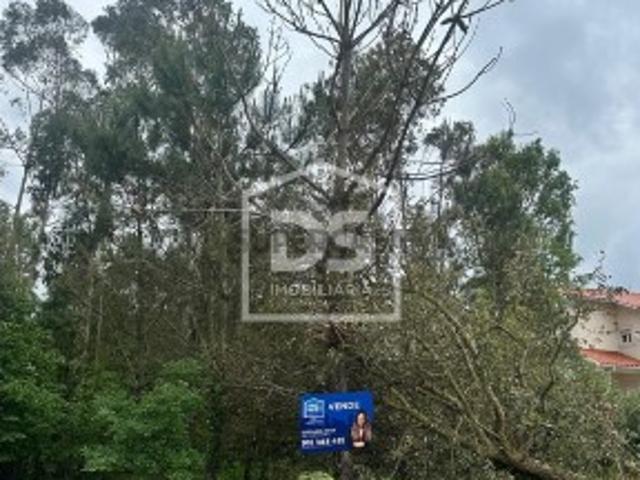 Terreno venda em Batalha, São Mamede