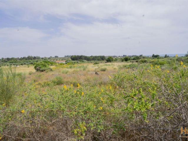 Terreno venda em Castelo Branco, Idanha-a-nova