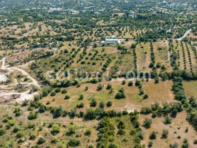 Terreno venda em Faro