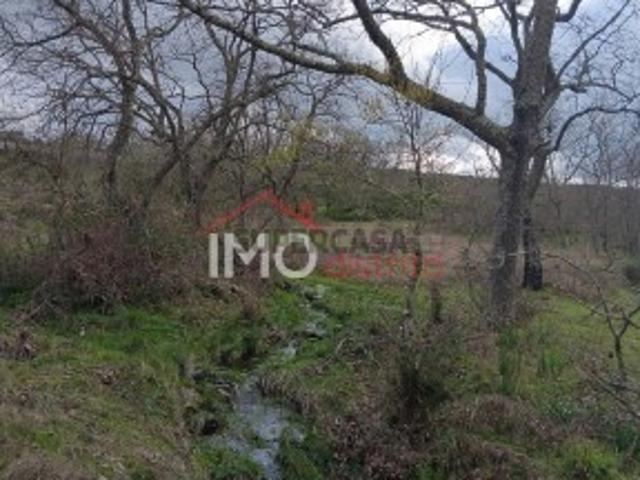 Terreno venda em Castelo De Vide, Portalegre