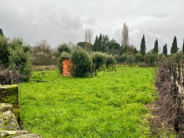 Terreno venda em Nelas, Viseu