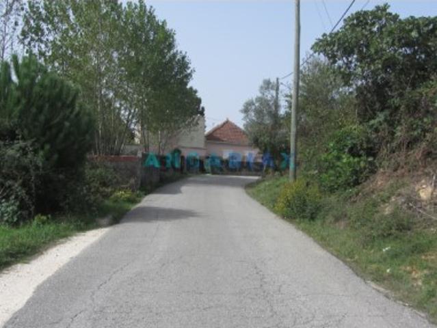Terreno venda em Pombal, Leiria