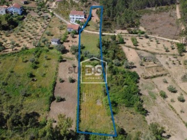 Terreno venda em Castelo Branco