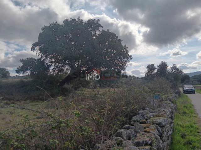 Terreno venda em Marvão, Santo António Das Areias