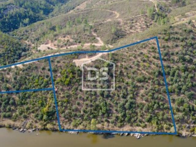 Terreno venda em Castelo Branco