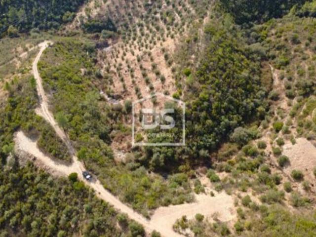 Terreno venda em Castelo Branco