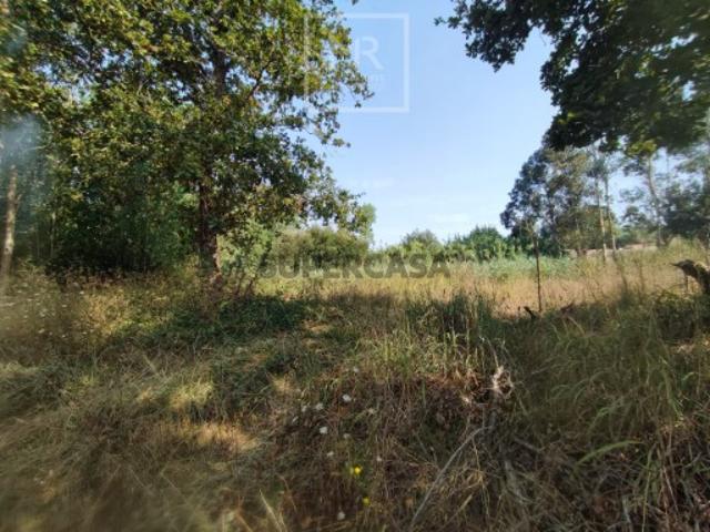 Terreno venda em Ponte De Vagos, Aveiro